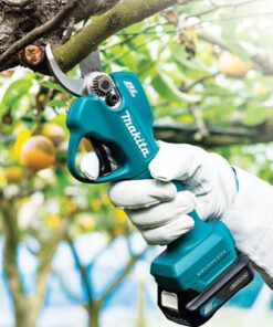 Pruning Shear